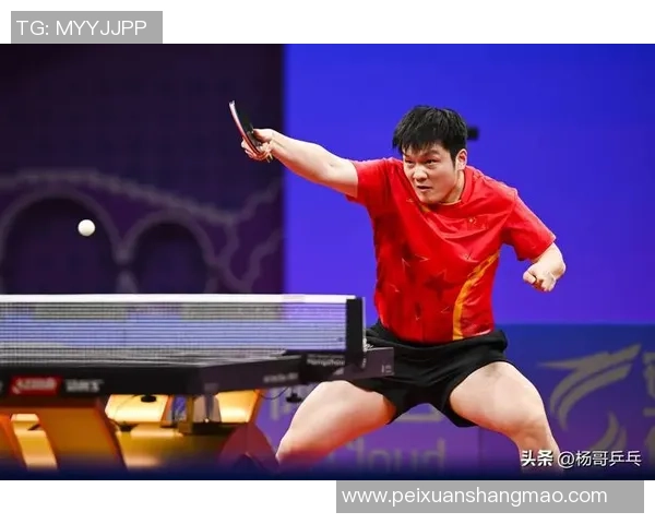 乒乓球盛宴：深入解析广州乒乓球队员的个人技术与实力