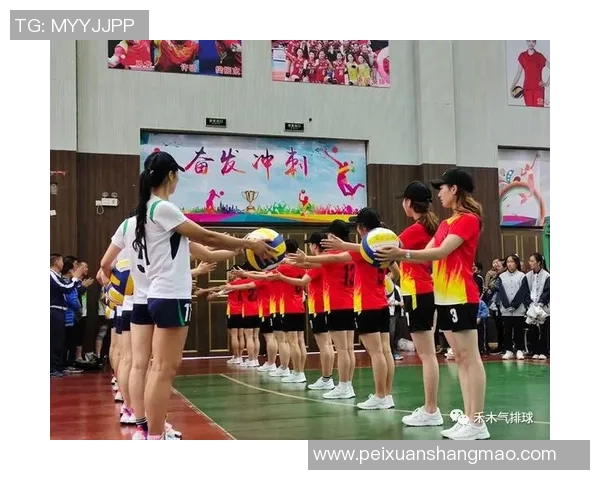 杭州排球队心理素质分析与提升策略探讨